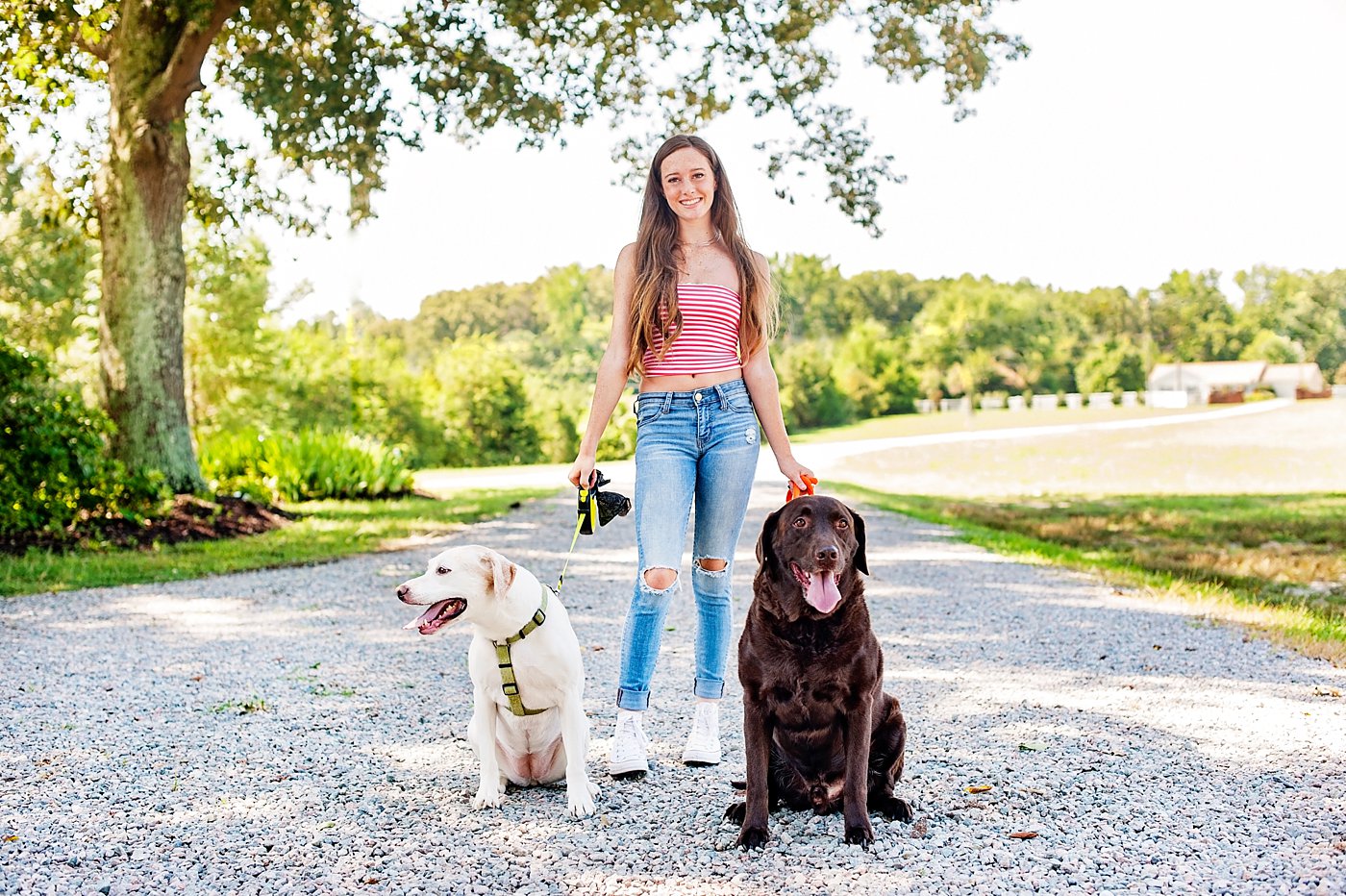 clover hill senior pictures with dogs